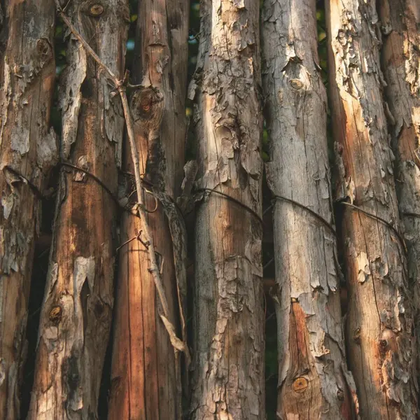 Madera de construcción: Palos